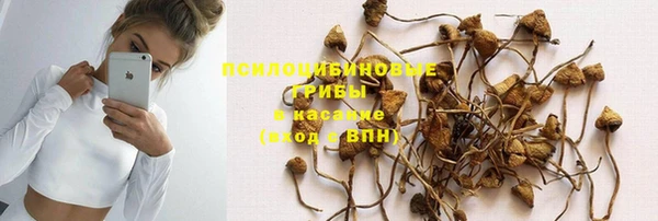 прущий лед Вязники
